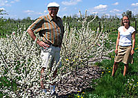 Whitlow and Harbut with beach plums at Cornell Orchards, May 2006
