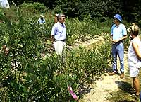 William Clark, of Cape Cod Cooperative Extension...